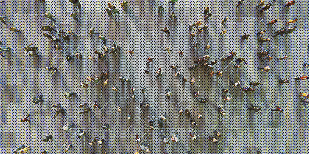 Felicità è una città condivisa