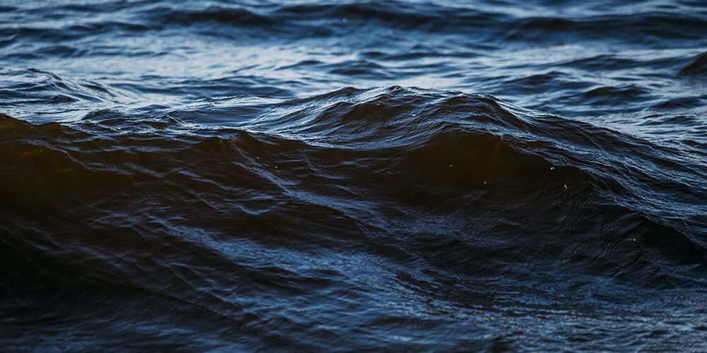 Mediterraneo nostrum