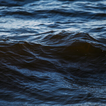 Mediterraneo nostrum