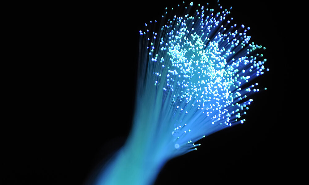 PNRR: non c’è ripresa senza formazione