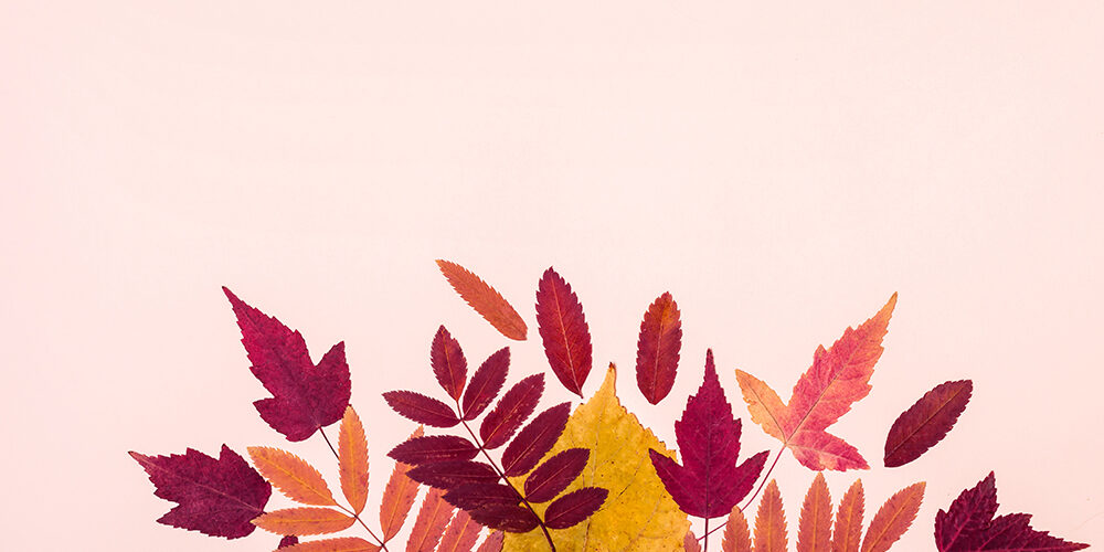 Autunno, la stagione della Terra