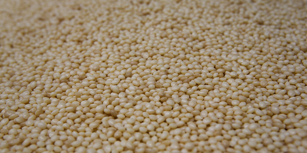 Economia circolare: dalla terra alla terra