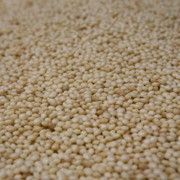 Economia circolare: dalla terra alla terra