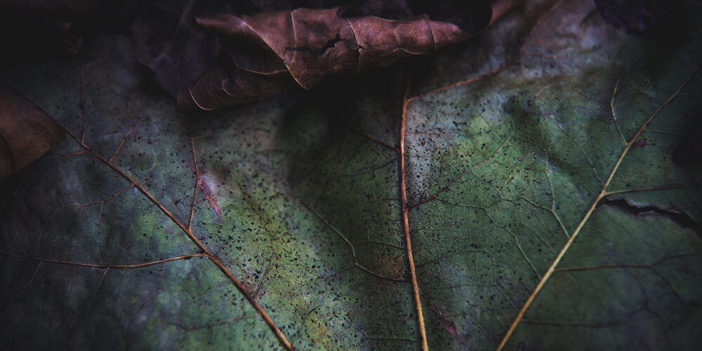 Fare affari con la natura