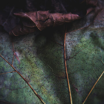 Fare affari con la natura