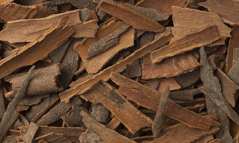 Cosa mangiare lo dice la genetica