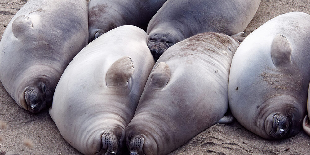 Condividere emozioni fa bene al lavoro