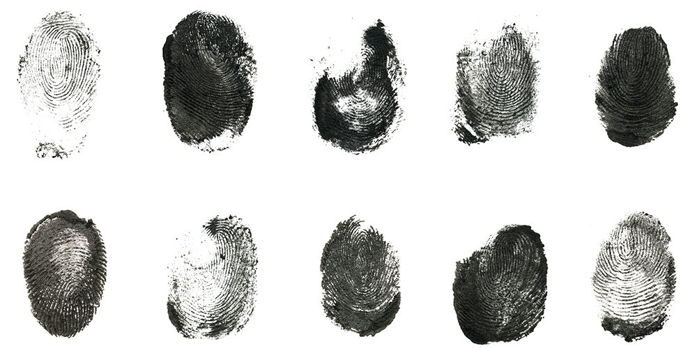 Perché siamo tutti esseri speciali