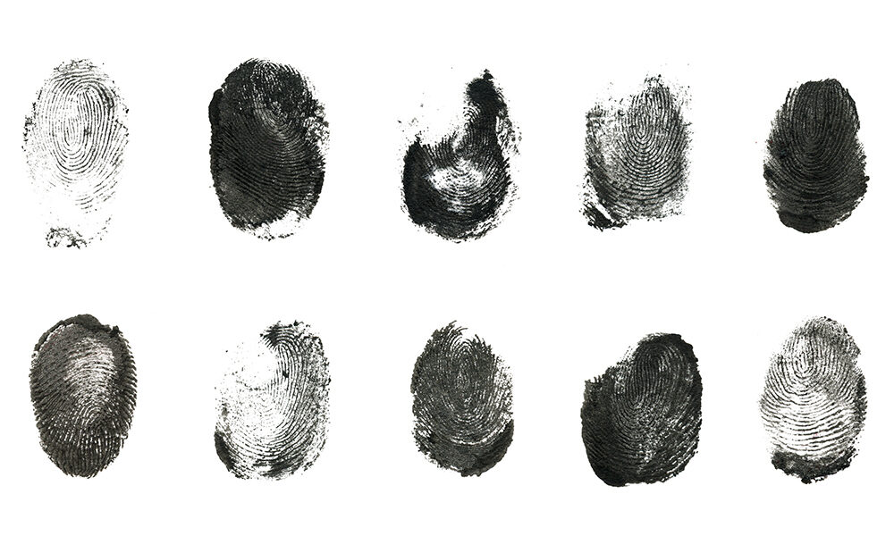 Perché siamo tutti esseri speciali