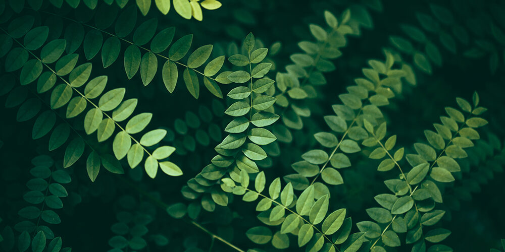 E3CI, un’arma in più contro i rischi climatici