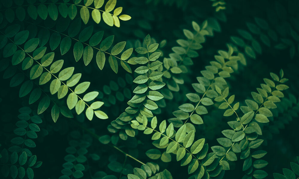 E3CI, un’arma in più contro i rischi climatici