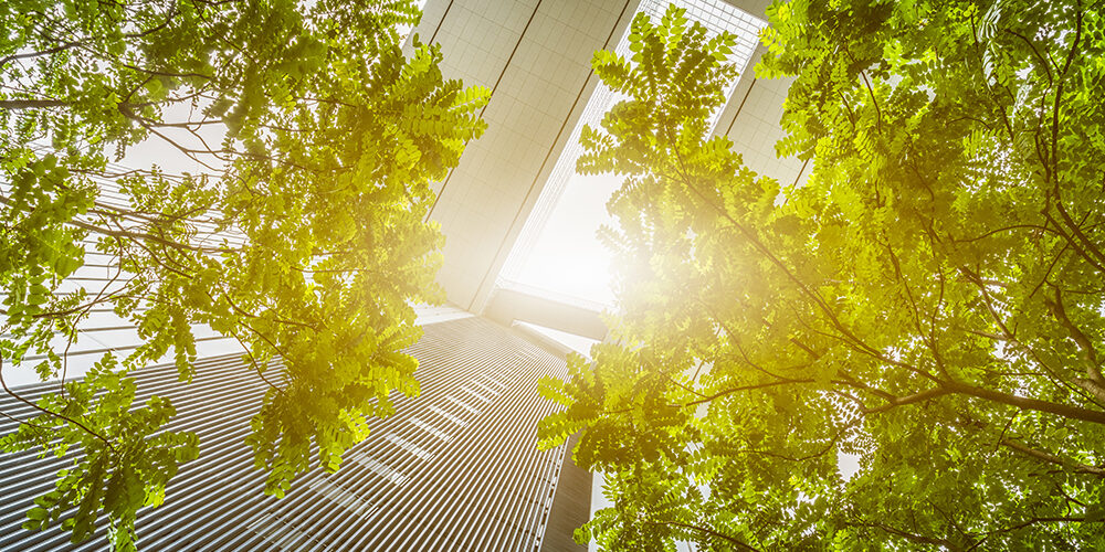 La sostenibilità entra in Cda