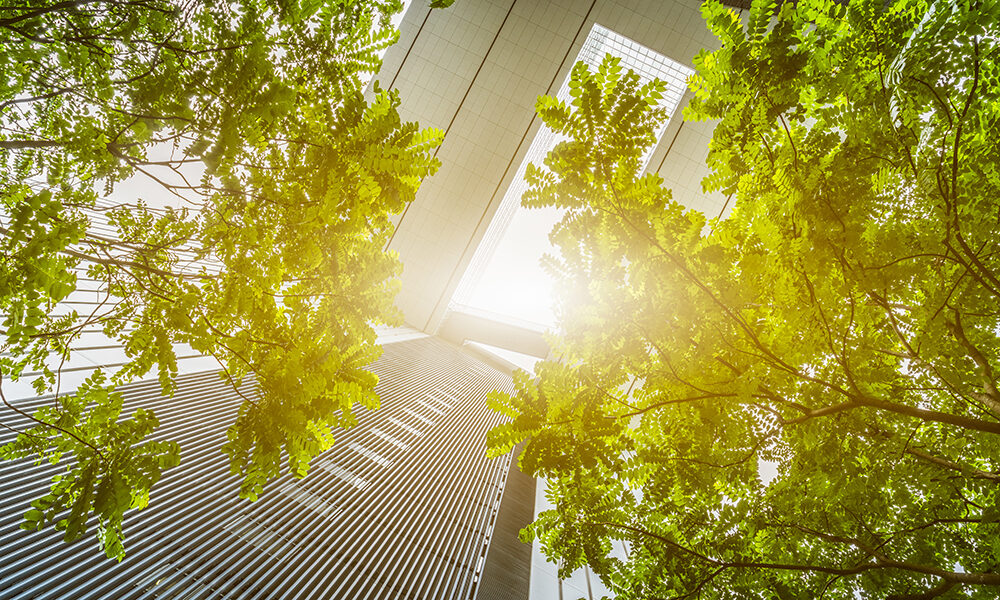 La sostenibilità entra in Cda