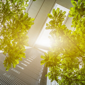 La sostenibilità entra in Cda