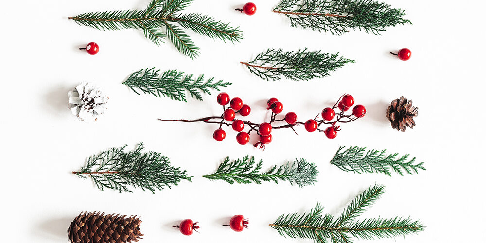 A Natale la plastica non va in tavola