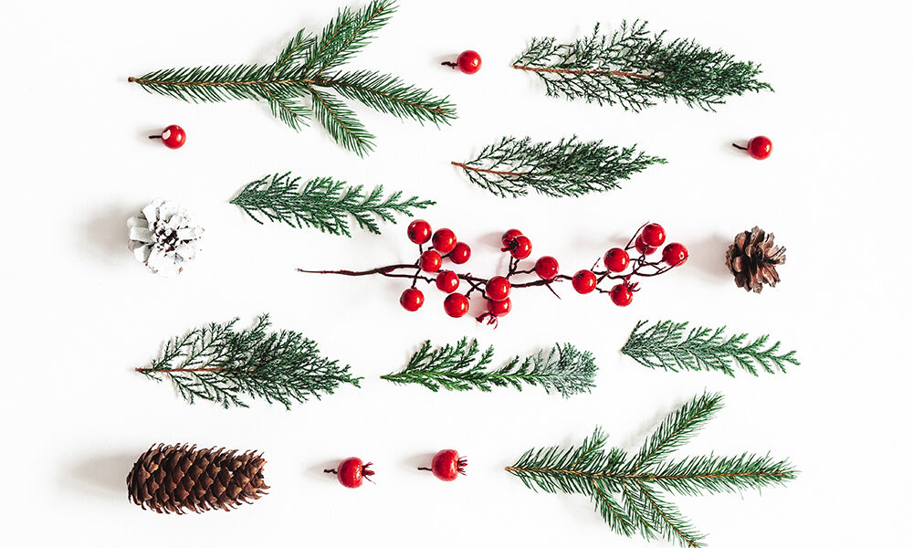 A Natale la plastica non va in tavola