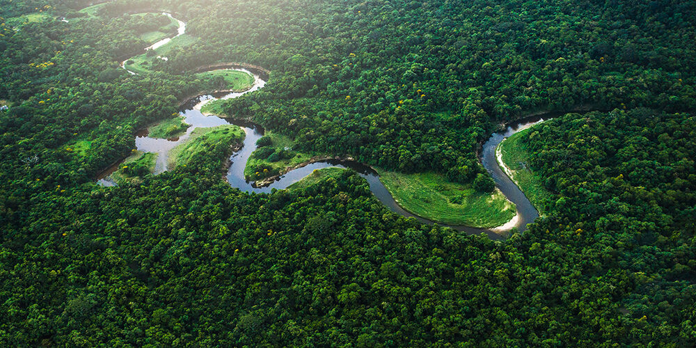 Ma di chi è l’Amazzonia?