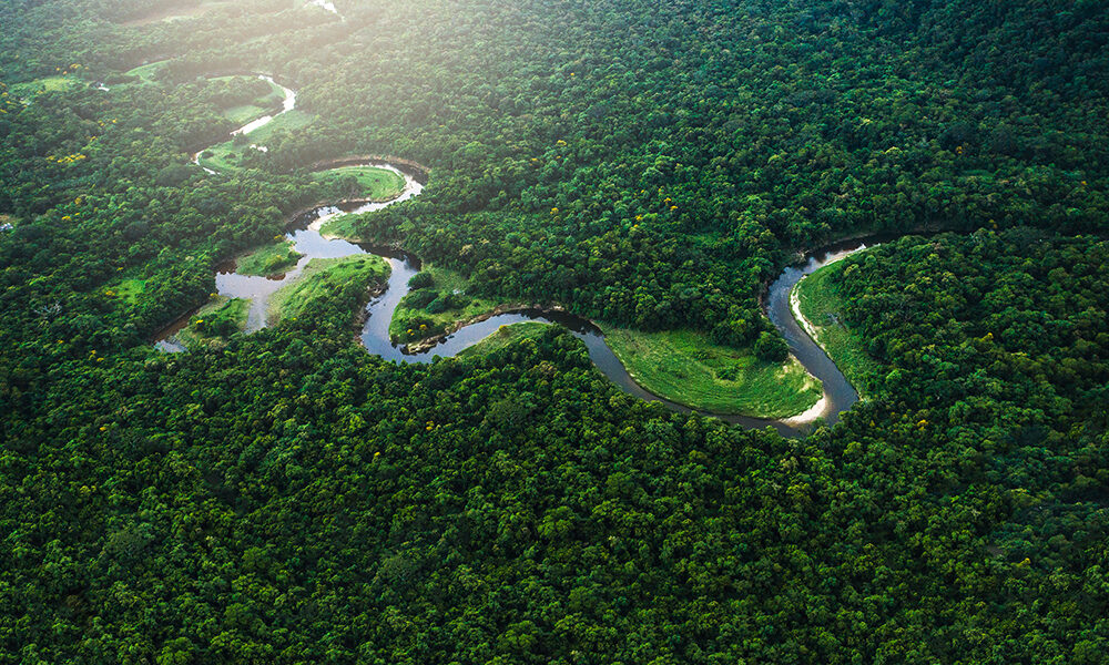 Ma di chi è l’Amazzonia?