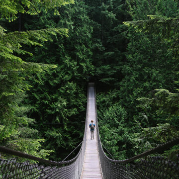 Il prezzo per salvare il pianeta