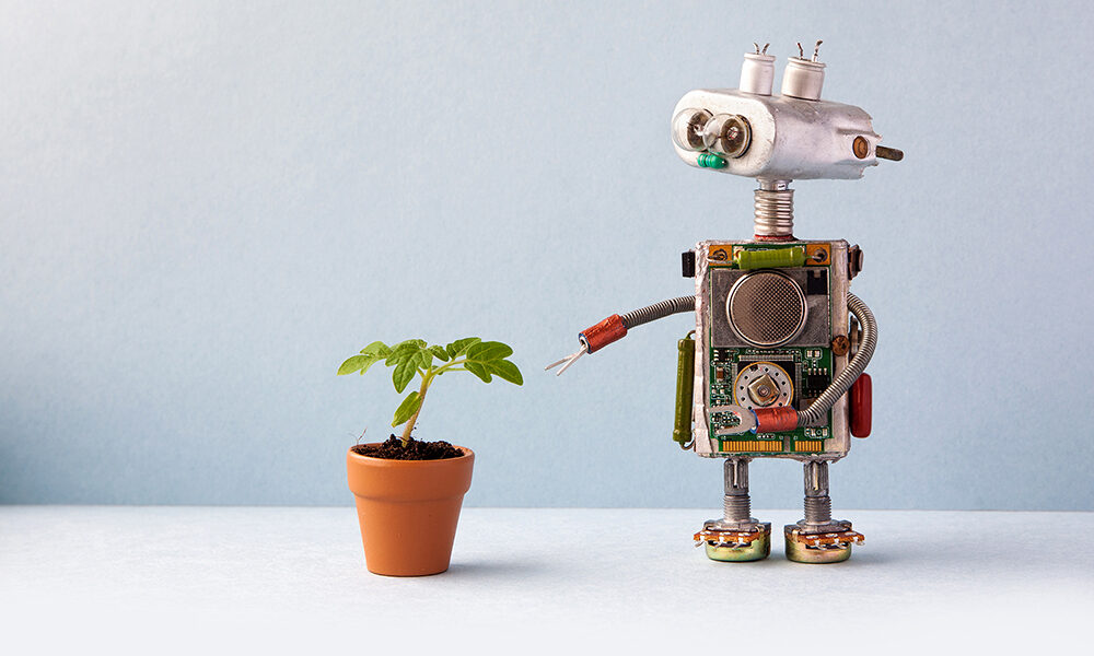 I robot diventeranno nostri amici?