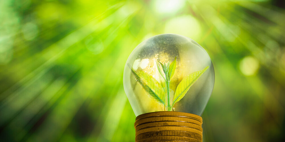 Green New Deal: la svolta verde che può rilanciare l’Italia