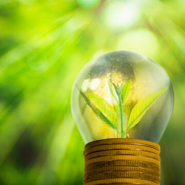 Green New Deal: la svolta verde che può rilanciare l’Italia
