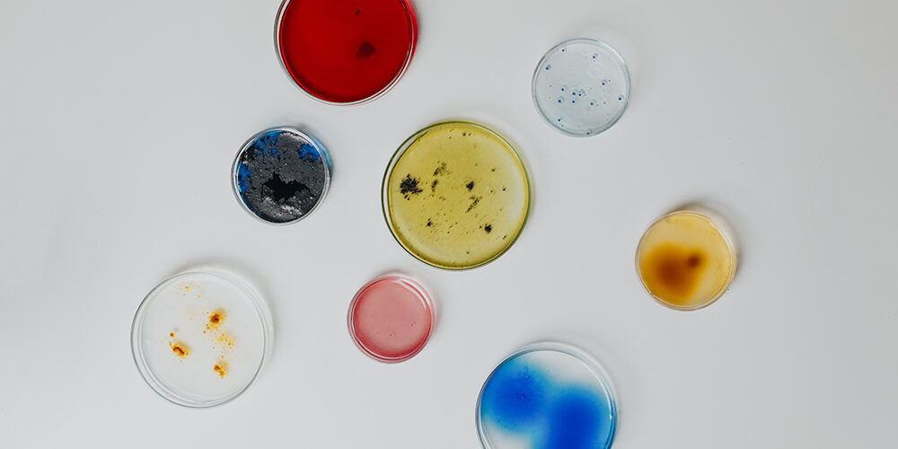 Robot e batteri salvano le opere d’arte