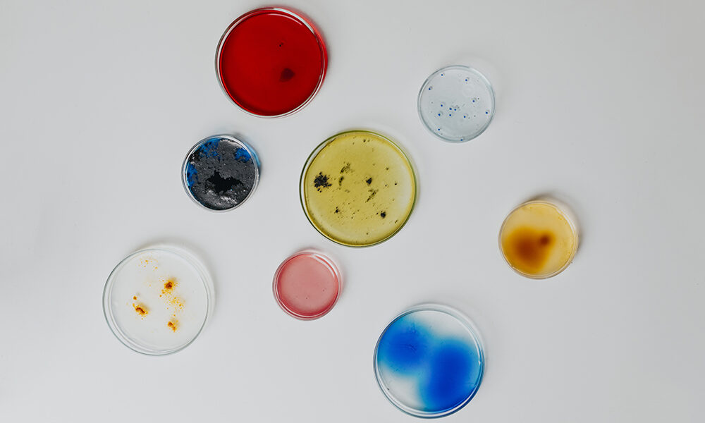 Robot e batteri salvano le opere d’arte