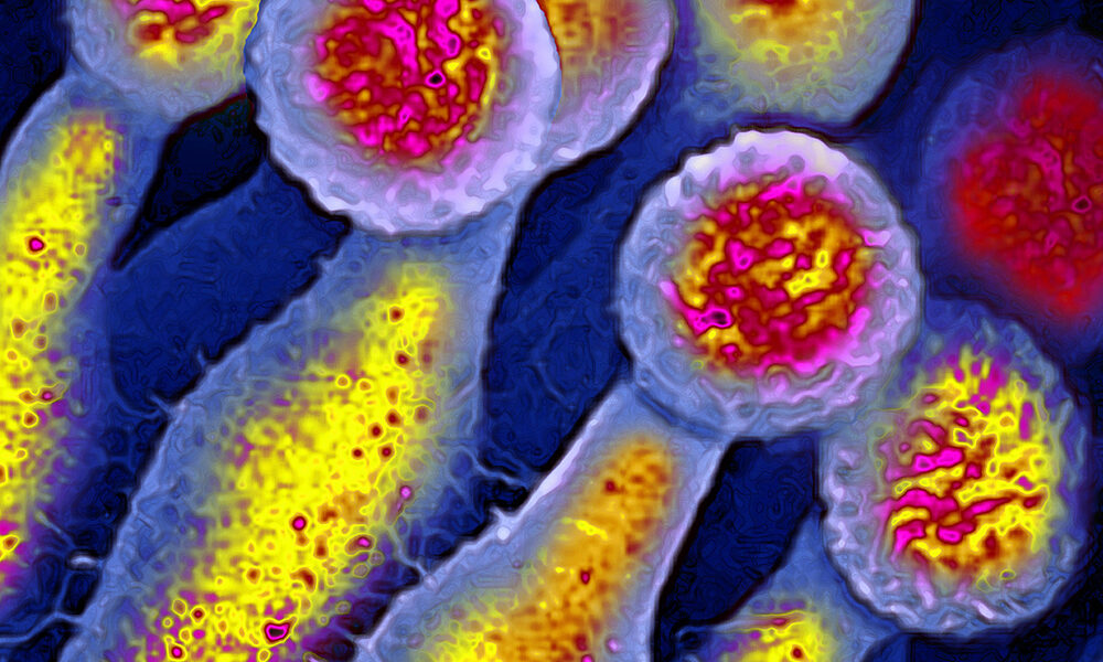 La scienza è immaginazione