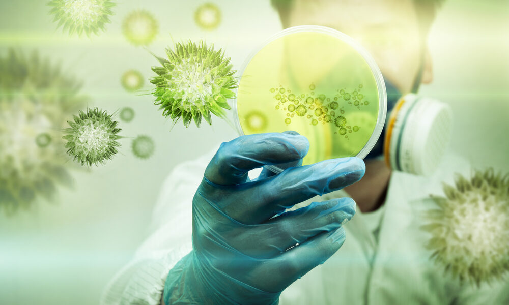 Quanto costa combattere i Superbatteri