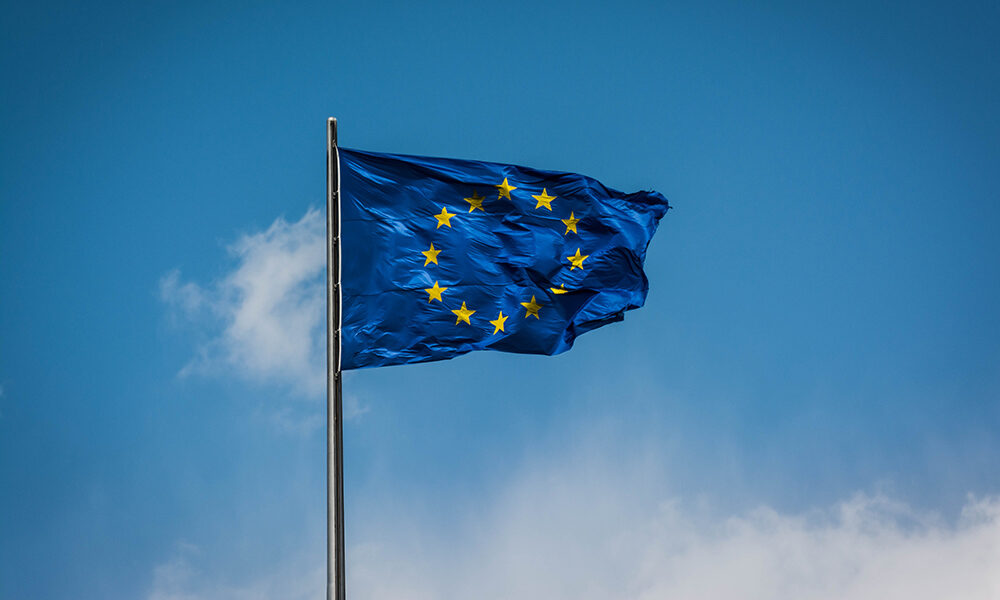 In finanza è tassonomia mania