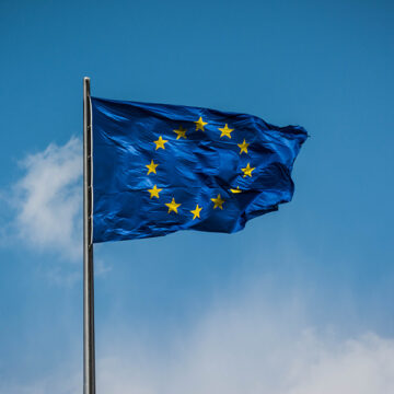 In finanza è tassonomia mania