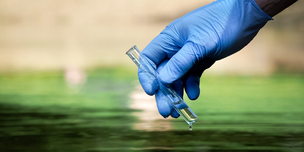 I veleni nell’ambiente