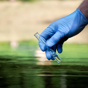 I veleni nell’ambiente