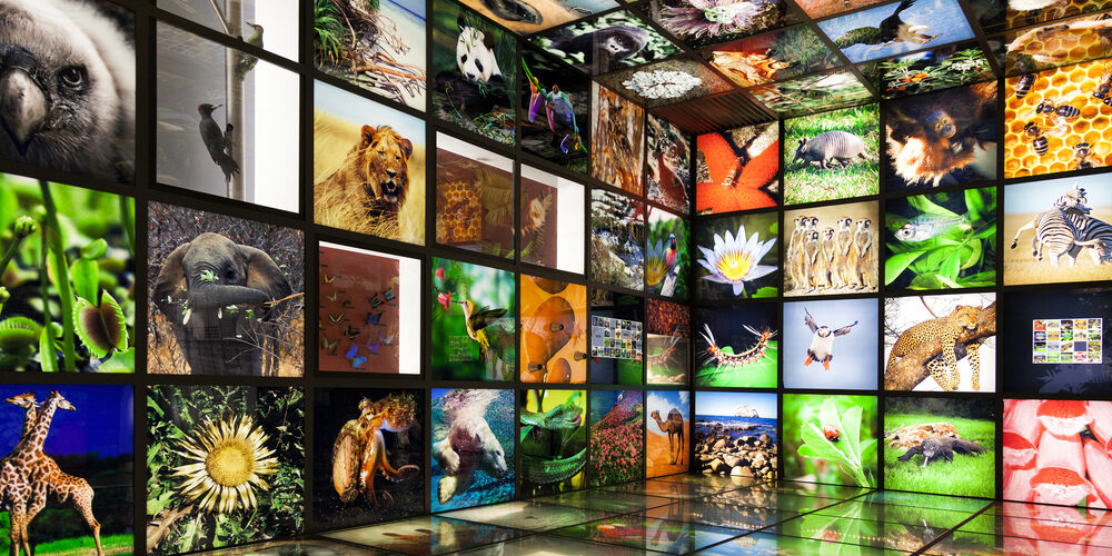 C’è l’Abs contro la biopirateria