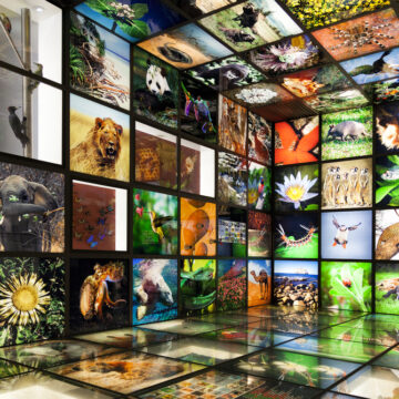 C’è l’Abs contro la biopirateria