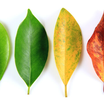 Welfare: un piano per ogni età