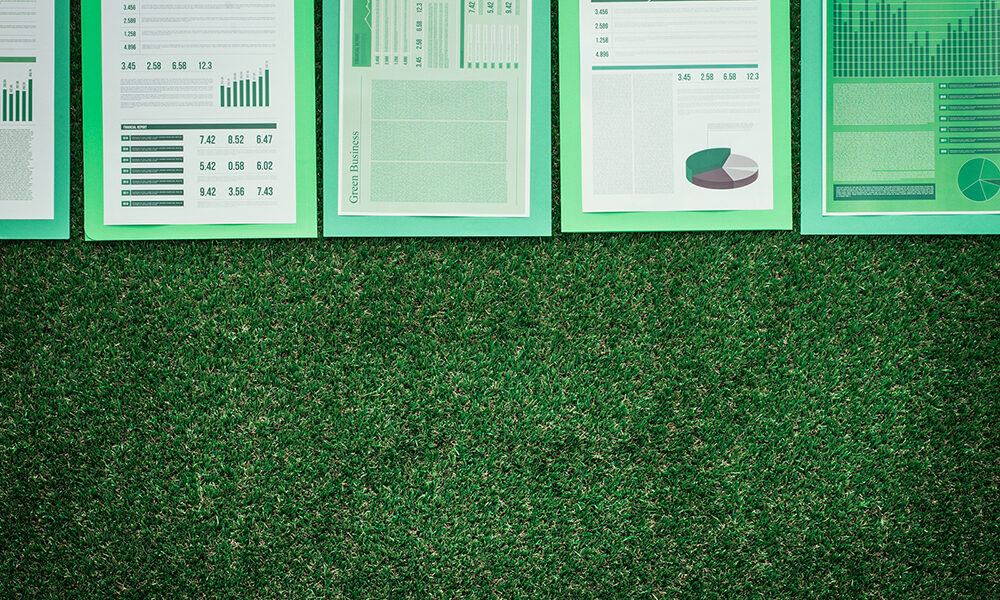 Aziende: dalla mission al purpose