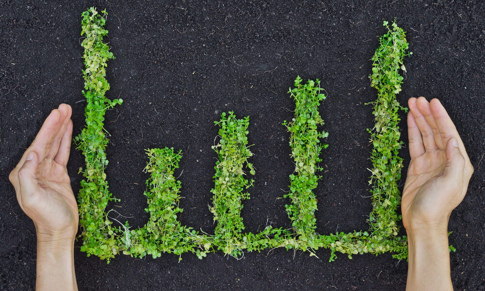 Fondi, tutti lo fanno Sri