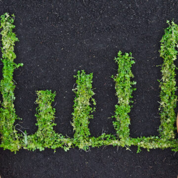 Fondi, tutti lo fanno Sri