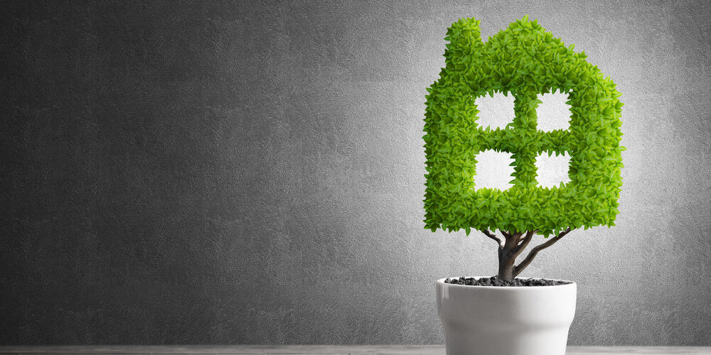 Bioarchitettura: perché è un valore per tutti