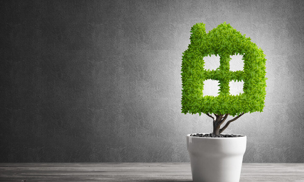 Bioarchitettura: perché è un valore per tutti