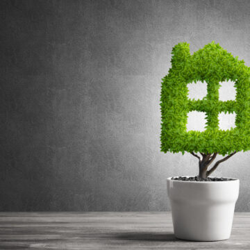 Bioarchitettura: perché è un valore per tutti