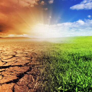 Perché dal clima dipendono reddito e Pil