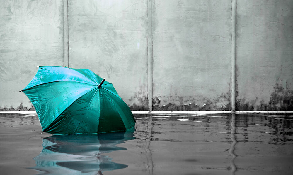 Clima e rischi per le imprese: il Progetto Derris a COP23