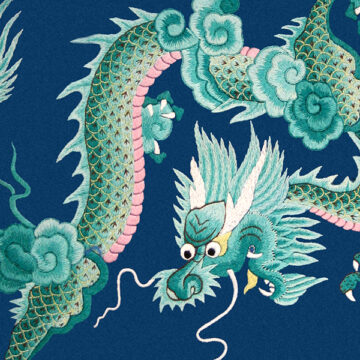 La sfida ambientale della Cina