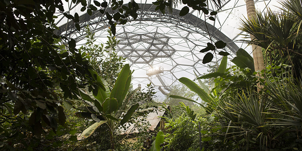 Intangibili: cambia l’etica del business