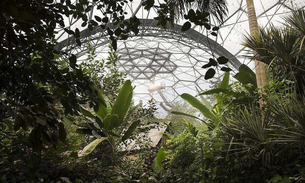 Intangibili: cambia l’etica del business