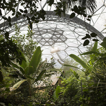 Intangibili: cambia l’etica del business