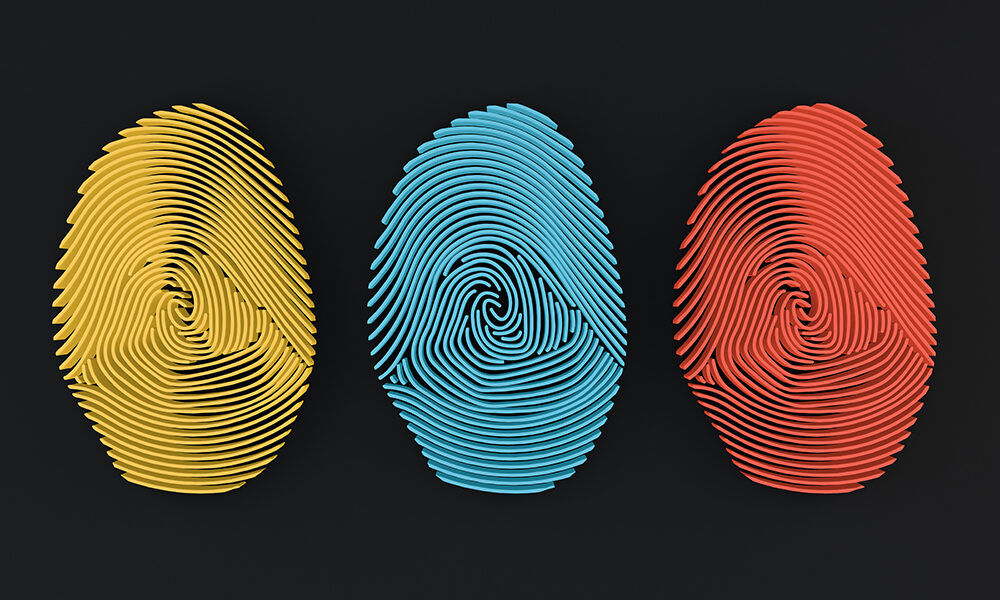 Cultura digitale: le avventure del gemello digitale